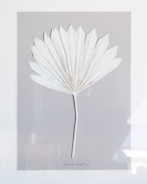 Dried Frond 5