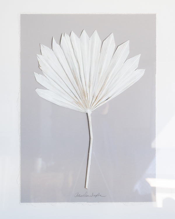 Dried Frond 5