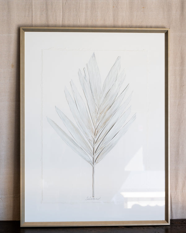 Dried Frond 8