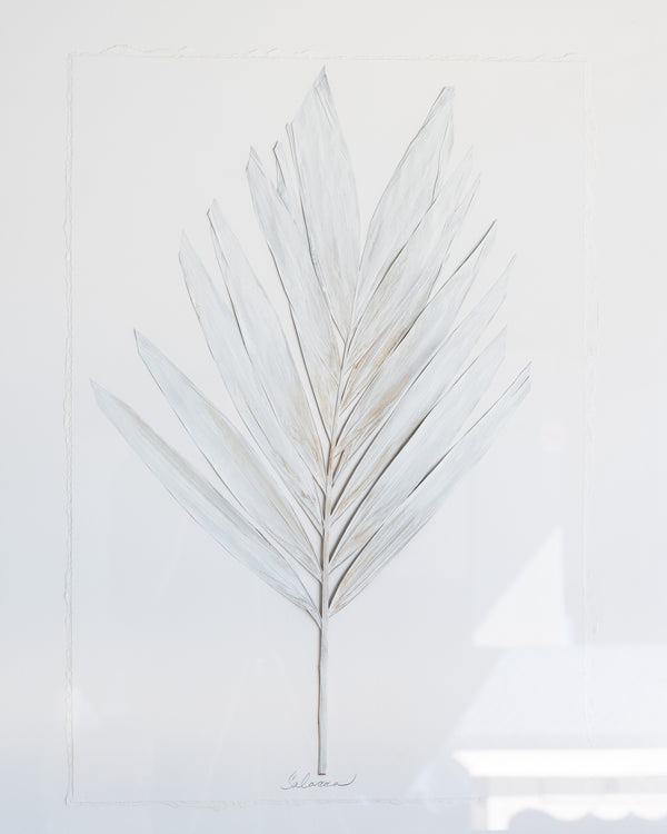 Dried Frond 8