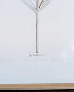 Dried Frond 8