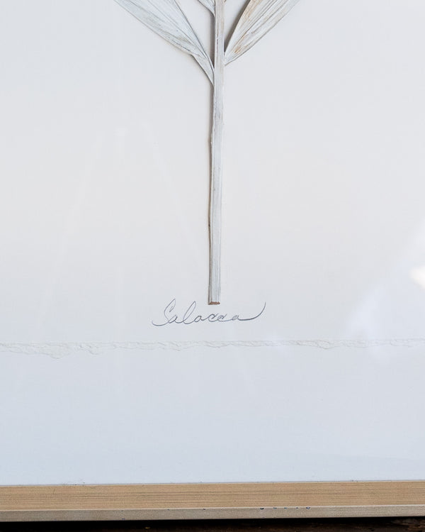 Dried Frond 8