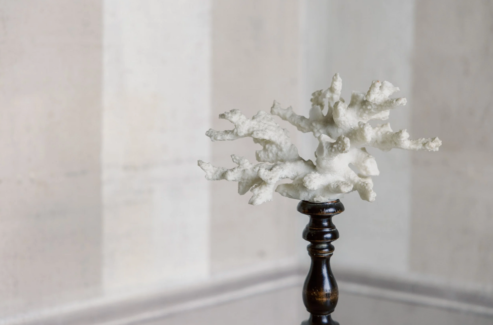 Gaia Coral on Antique Base