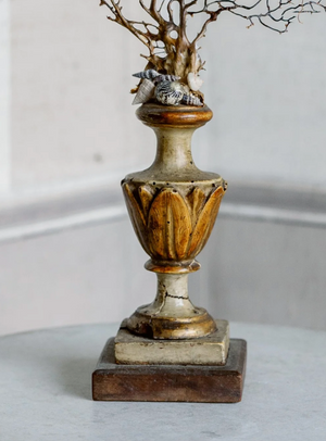 Ginevra Gorgonia on Antique Base