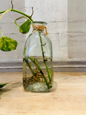 French Barattola Jar