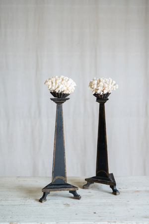 Maristella Coral on Antique Stand