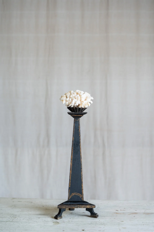 Maristella Coral on Antique Stand