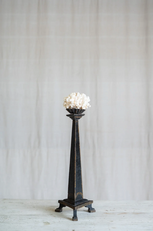 Maristella Coral on Antique Stand