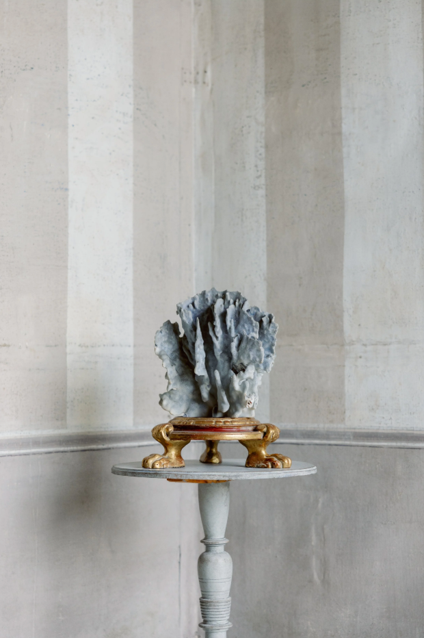 Mattia Coral on Antique Base