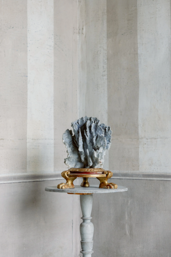 Mattia Coral on Antique Base