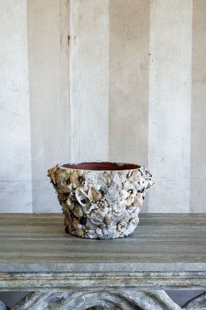 Nerina Shell Vase