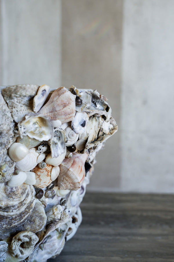 Nerina Shell Vase