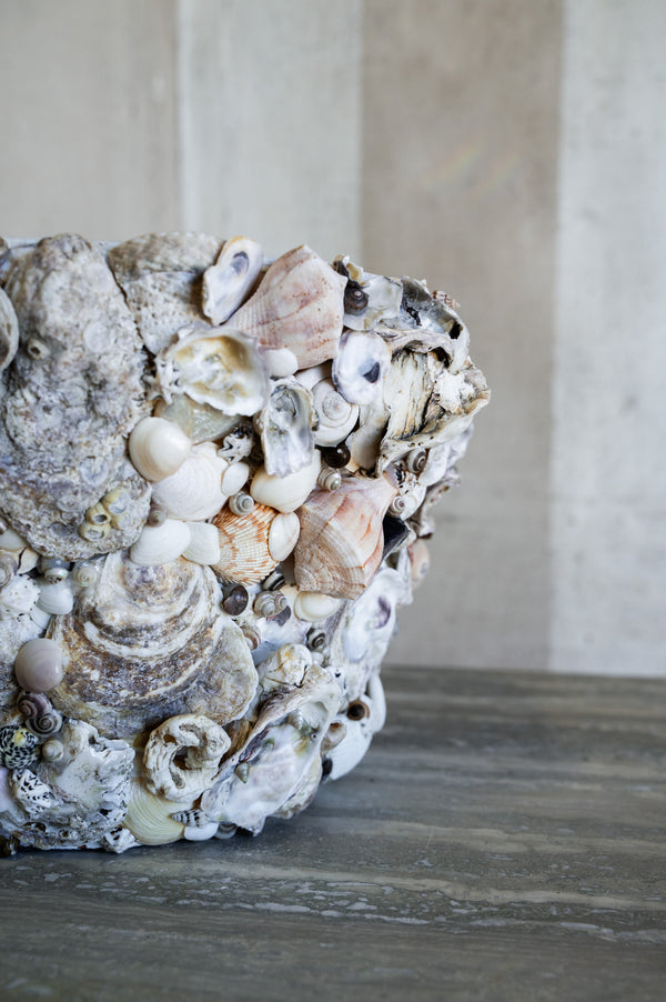 Nerina Shell Vase