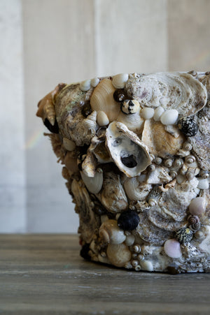 Nerina Shell Vase