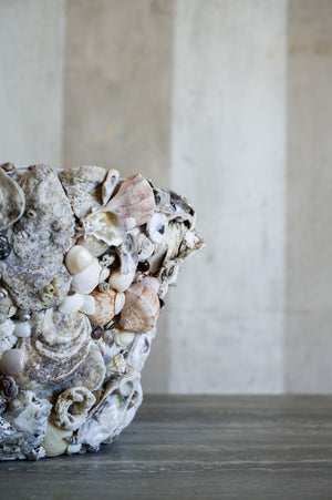 Nerina Shell Vase