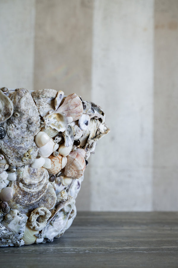 Nerina Shell Vase