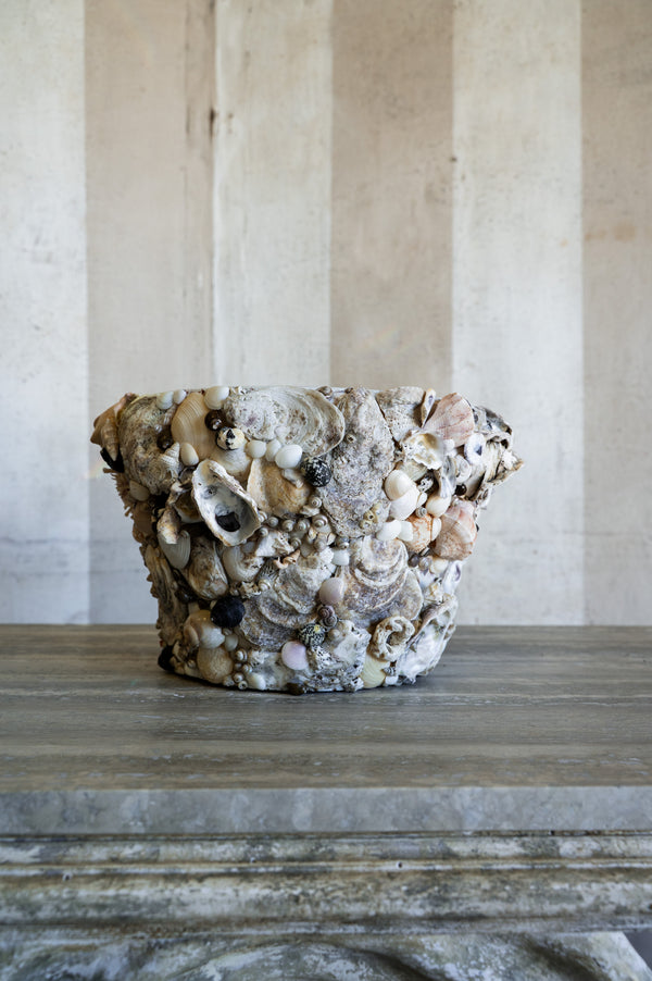 Nerina Shell Vase