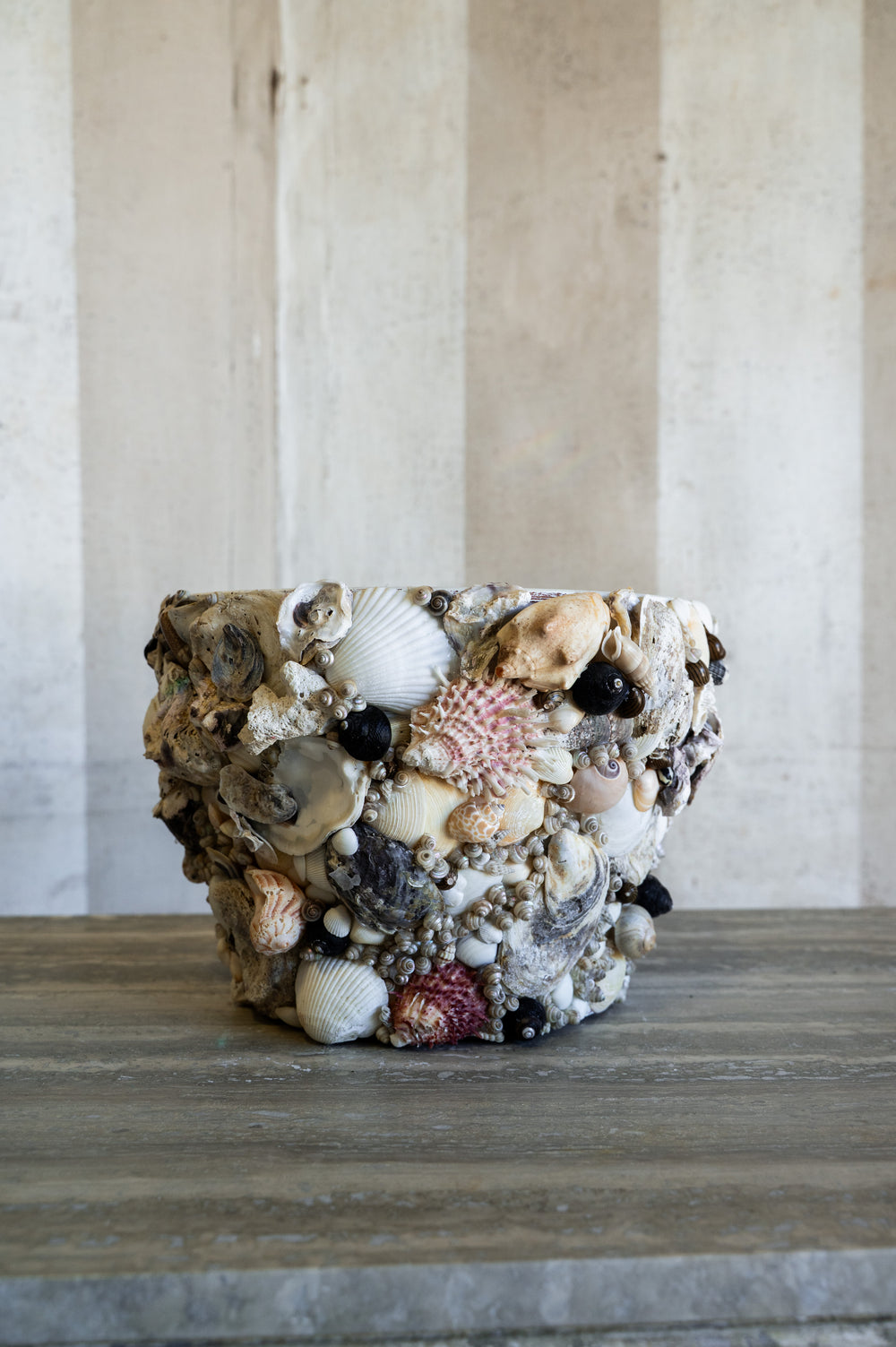 Nerina Shell Vase