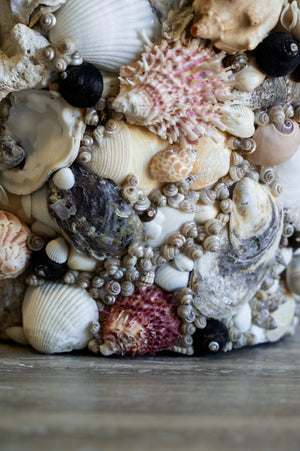 Nerina Shell Vase
