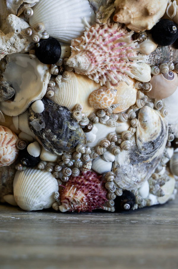 Nerina Shell Vase