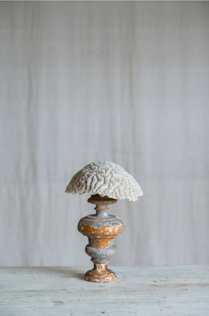 Ondina Coral on Antique Stand
