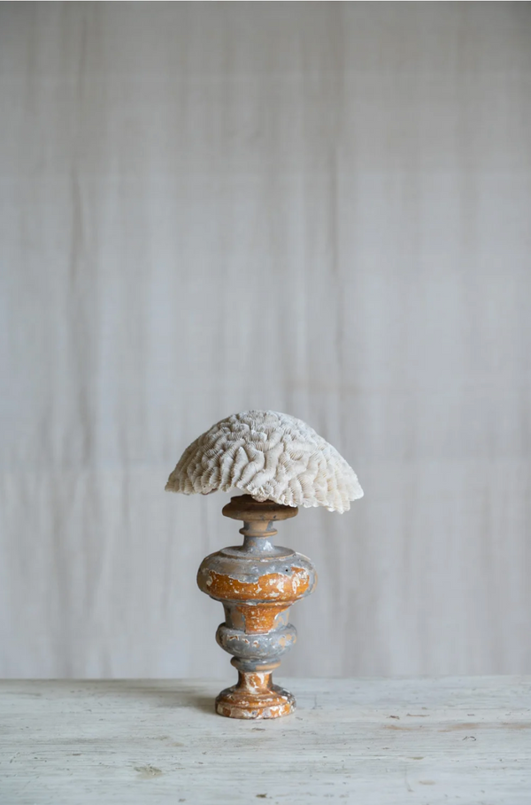 Ondina Coral on Antique Stand