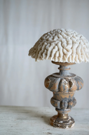 Ondina Coral on Antique Stand