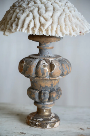 Ondina Coral on Antique Stand