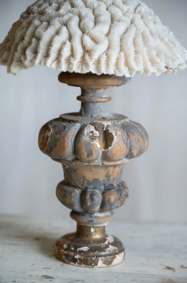 Ondina Coral on Antique Stand