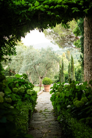 San Michele Olive Oil
