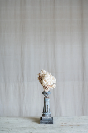 Selarose Coral on Antique Stand