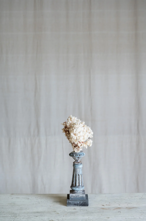 Selarose Coral on Antique Stand