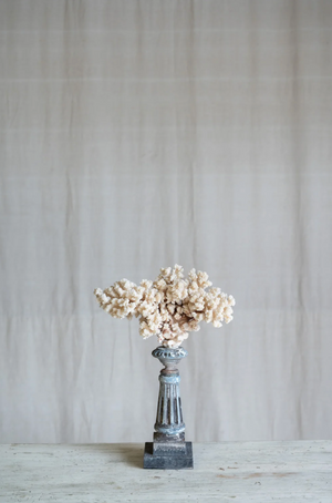 Selarose Coral on Antique Stand