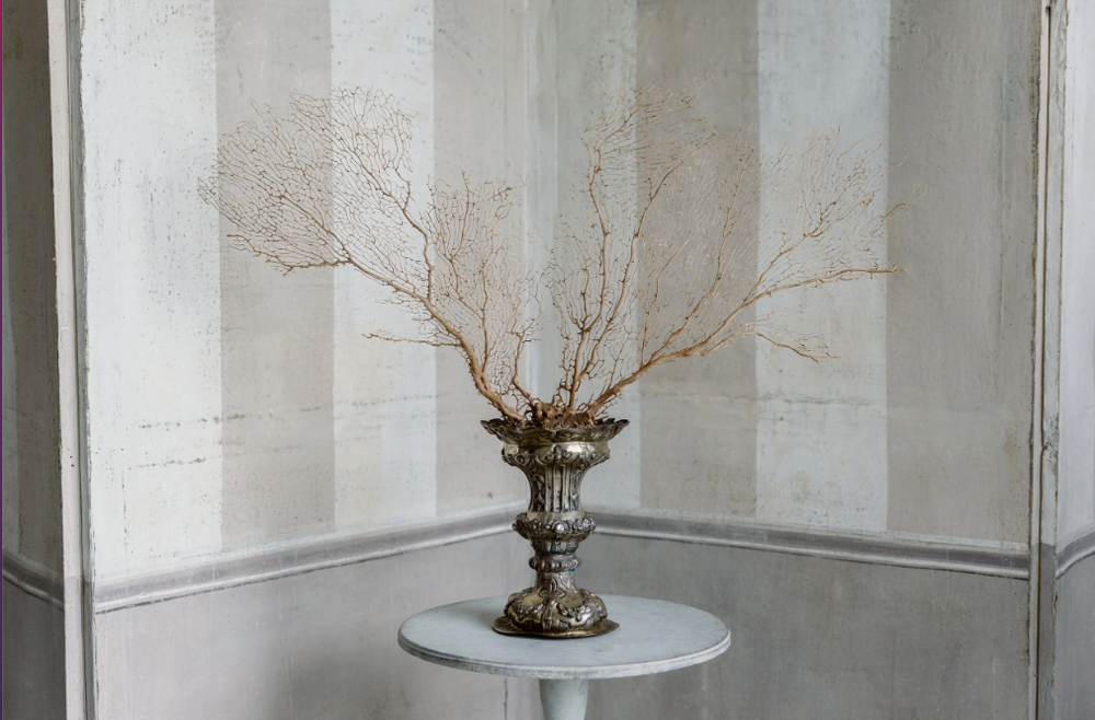 Serina Sea Fan on Antique Base