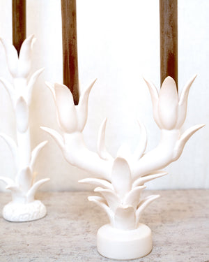 Tulip Candle Stick Holder