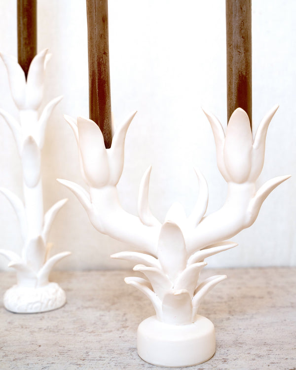 Tulip Candle Stick Holder