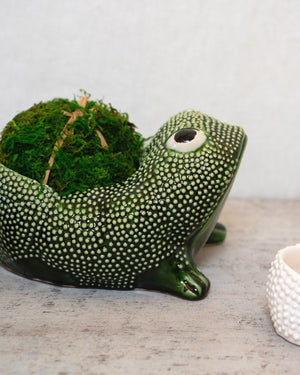 Green Ceramic Frog