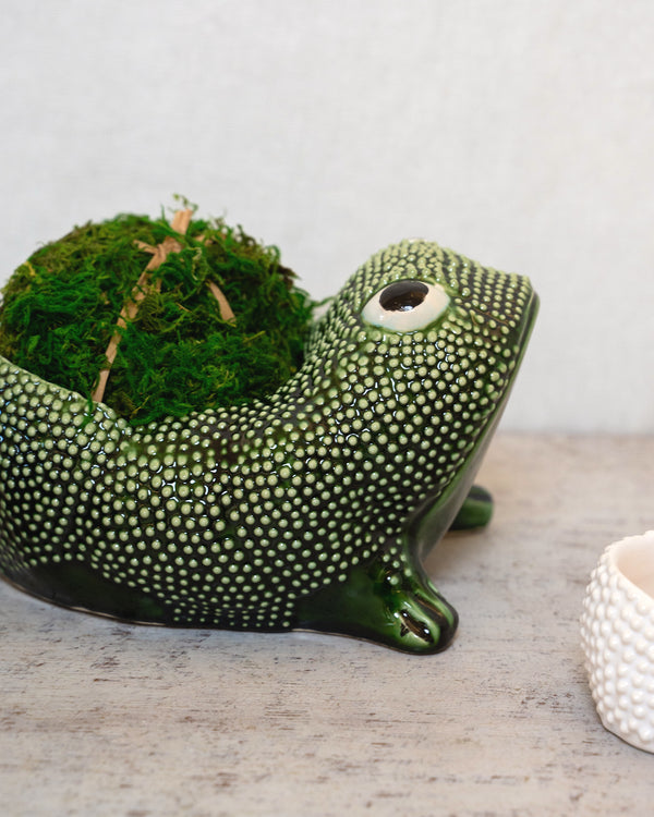 Green Ceramic Frog