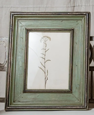 Antique Framed Botanical