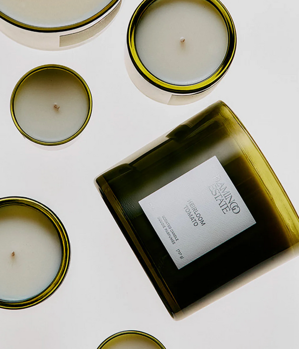 Roma Tomato Candle XL