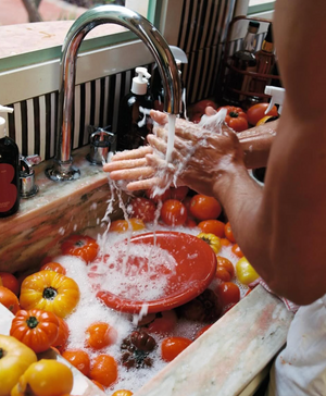 Roma Heirloom Tomato Hand Soap