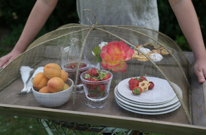 Abaca Mesh Rectangular Food Cover