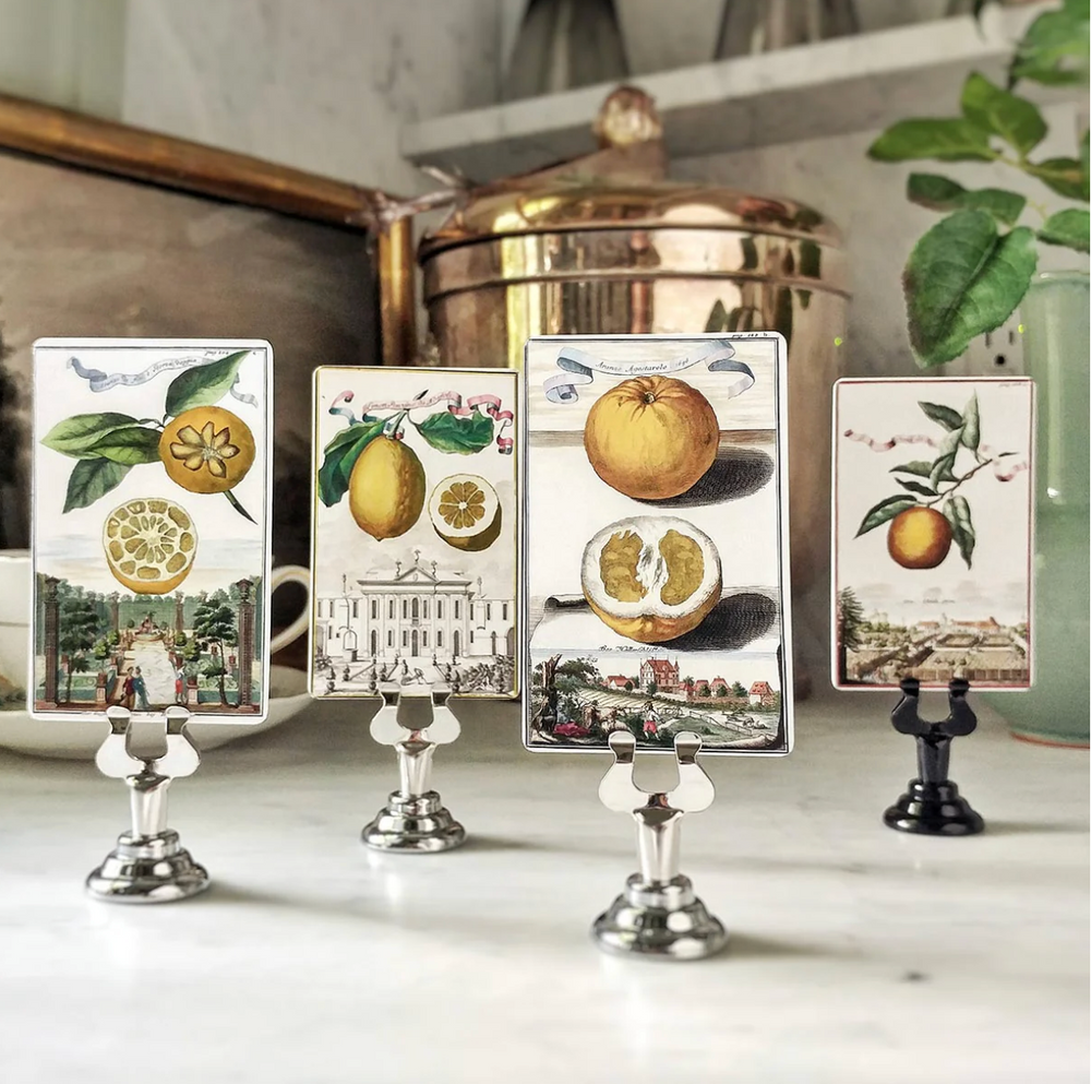 Citrus Gardens - Place Cards. -Qty 16