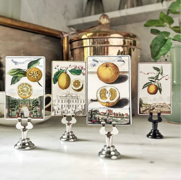 Citrus Gardens - Place Cards. -Qty 16