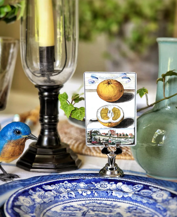 Citrus Gardens - Place Cards. -Qty 16