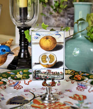 Citrus Gardens - Place Cards. -Qty 16