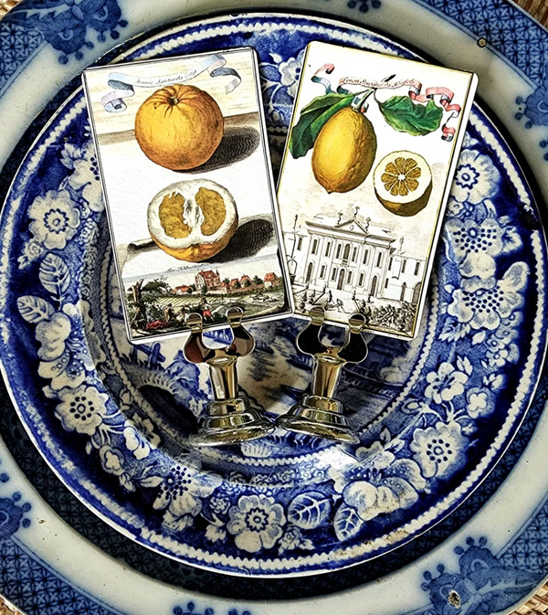 Citrus Gardens - Place Cards. -Qty 16