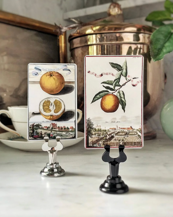 Citrus Gardens - Place Cards. -Qty 16