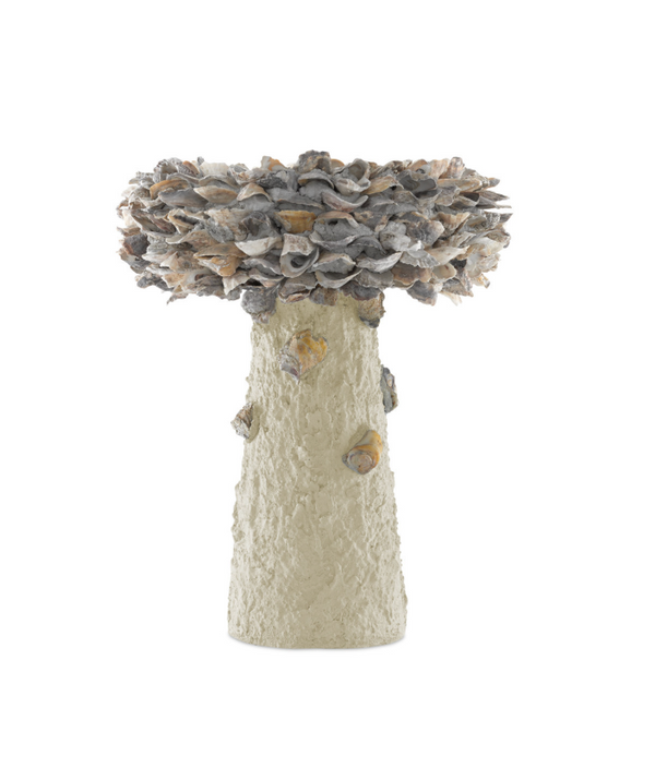 Oyster Shell Bird Bath