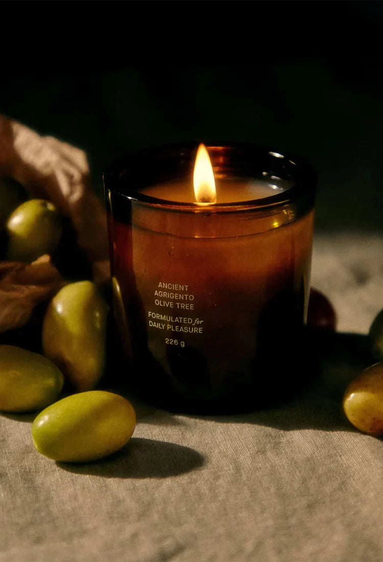 Olive Tree Candle